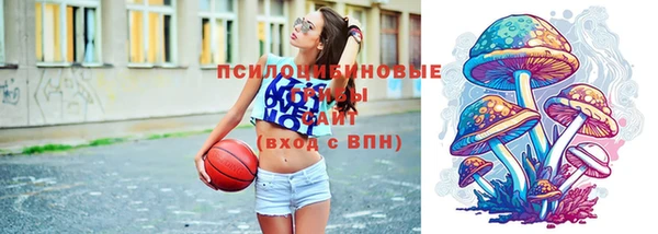 винт Магас