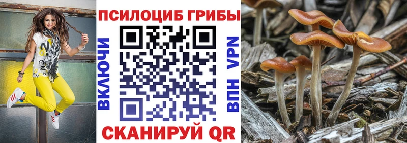 Галлюциногенные грибы Cubensis  Купить  Оха 