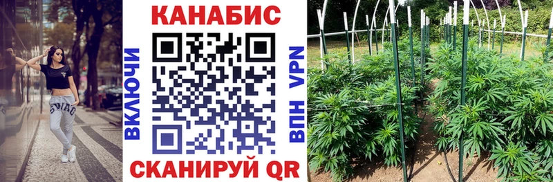 Купить где  Оха  Бошки Шишки Bruce Banner 